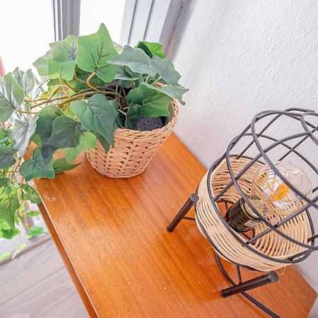 Duplex Champetre : Gare, Marche, Hypercentre Apartment Toulouse Ngoại thất bức ảnh