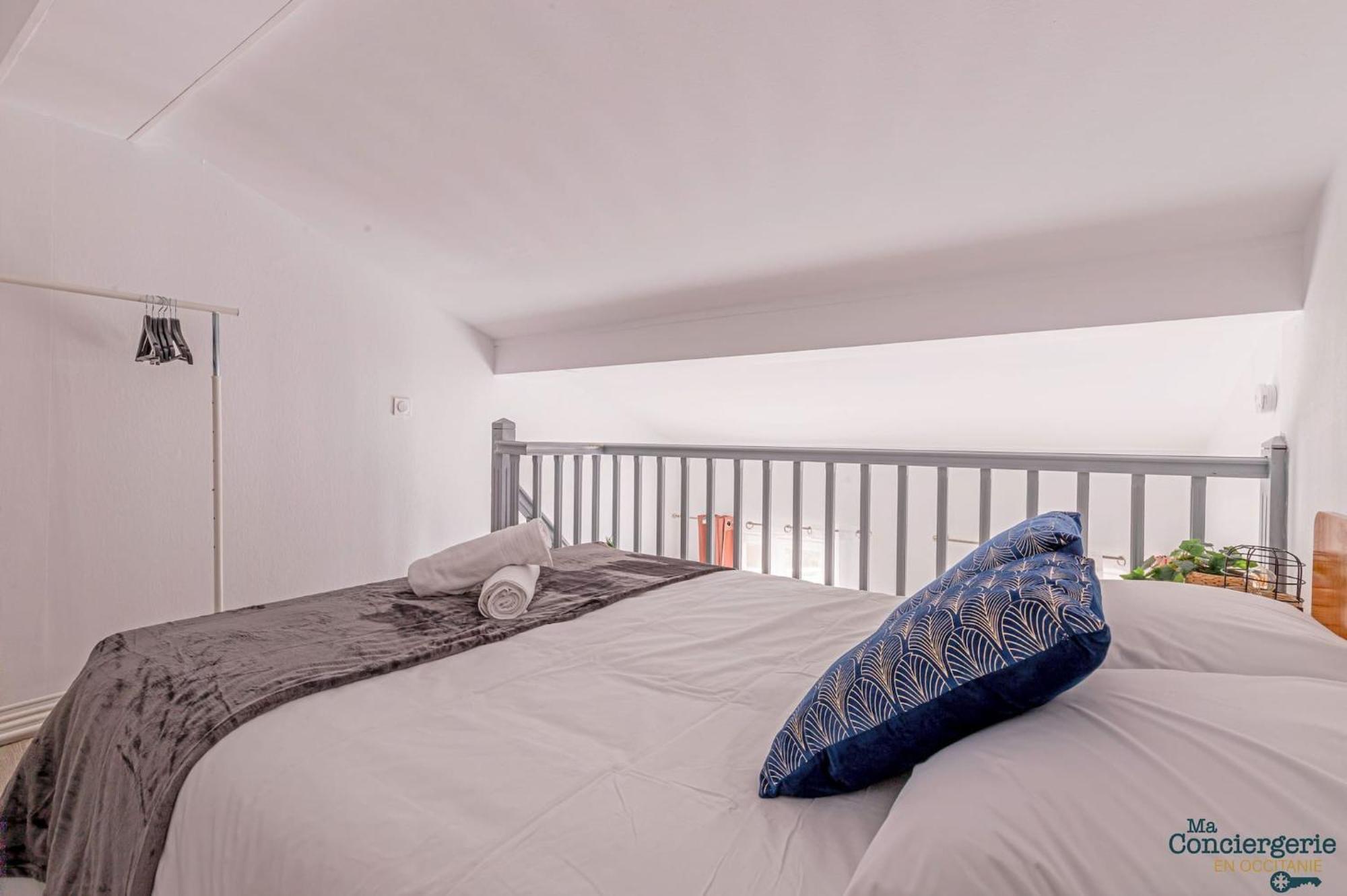 Duplex Champetre : Gare, Marche, Hypercentre Apartment Toulouse Ngoại thất bức ảnh
