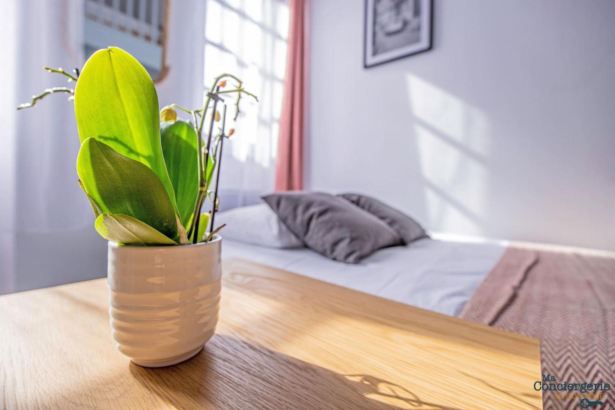Duplex Champetre : Gare, Marche, Hypercentre Apartment Toulouse Ngoại thất bức ảnh