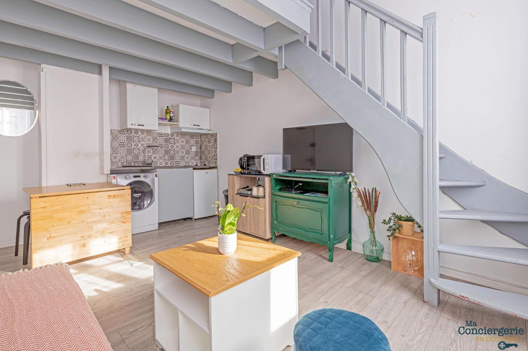 Duplex Champetre : Gare, Marche, Hypercentre Apartment Toulouse Ngoại thất bức ảnh