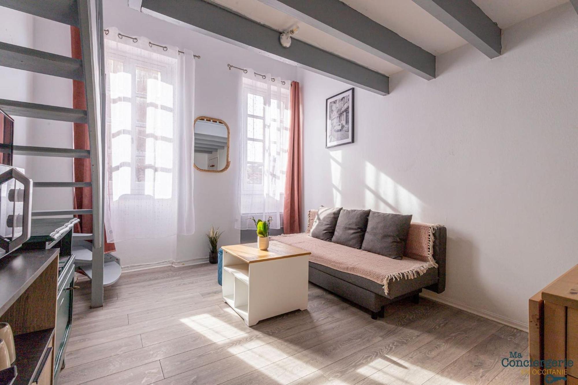 Duplex Champetre : Gare, Marche, Hypercentre Apartment Toulouse Ngoại thất bức ảnh