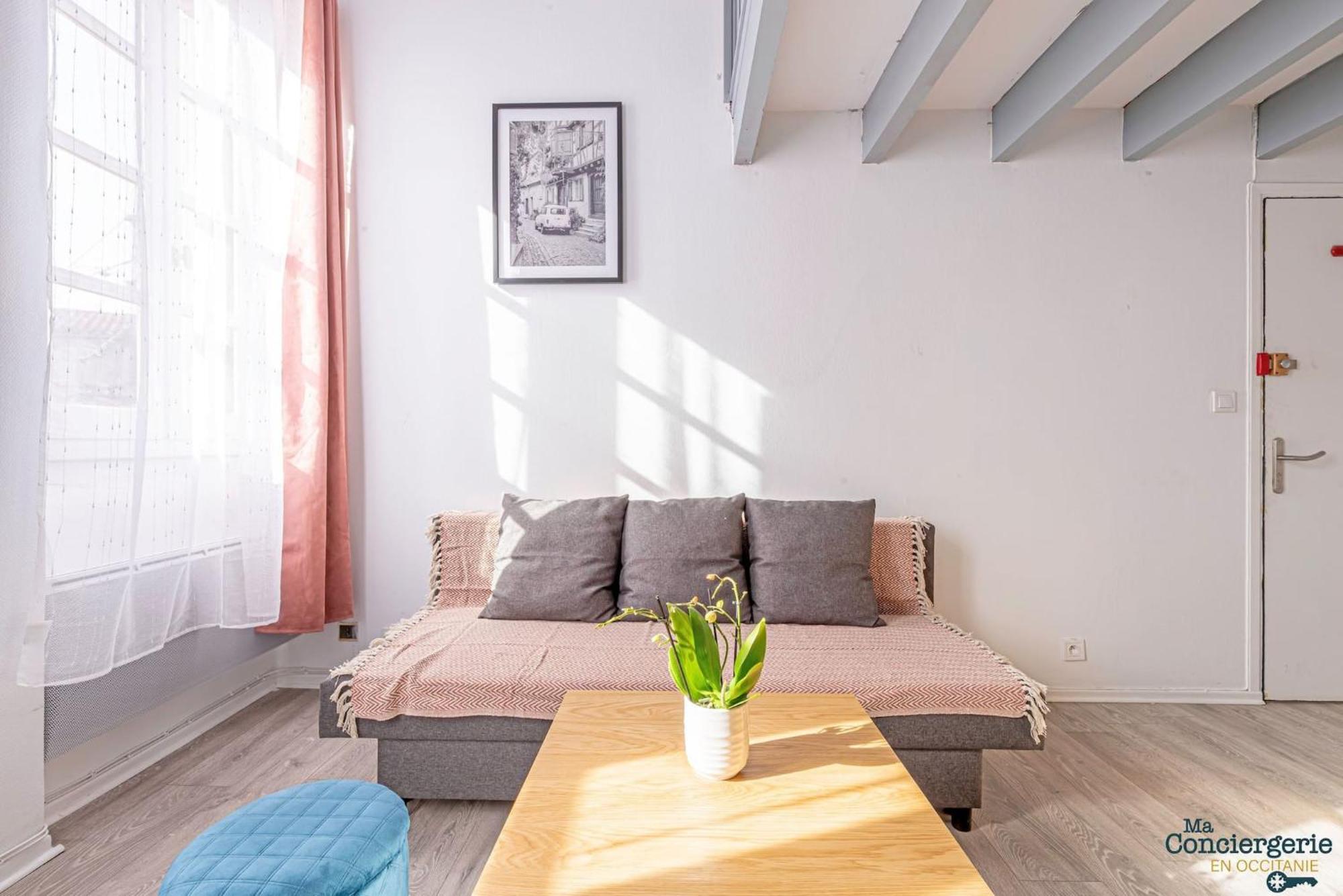 Duplex Champetre : Gare, Marche, Hypercentre Apartment Toulouse Ngoại thất bức ảnh
