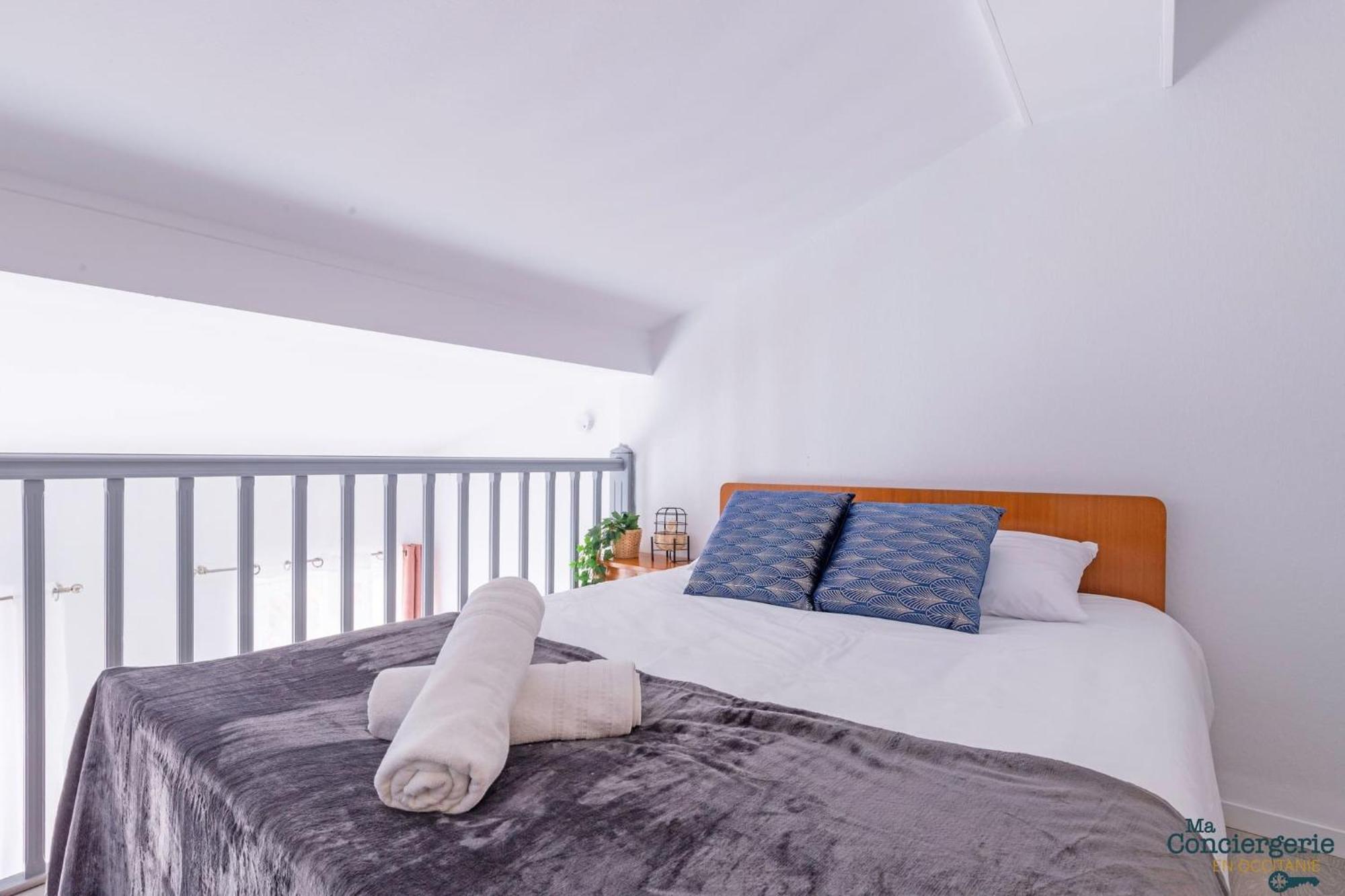 Duplex Champetre : Gare, Marche, Hypercentre Apartment Toulouse Ngoại thất bức ảnh