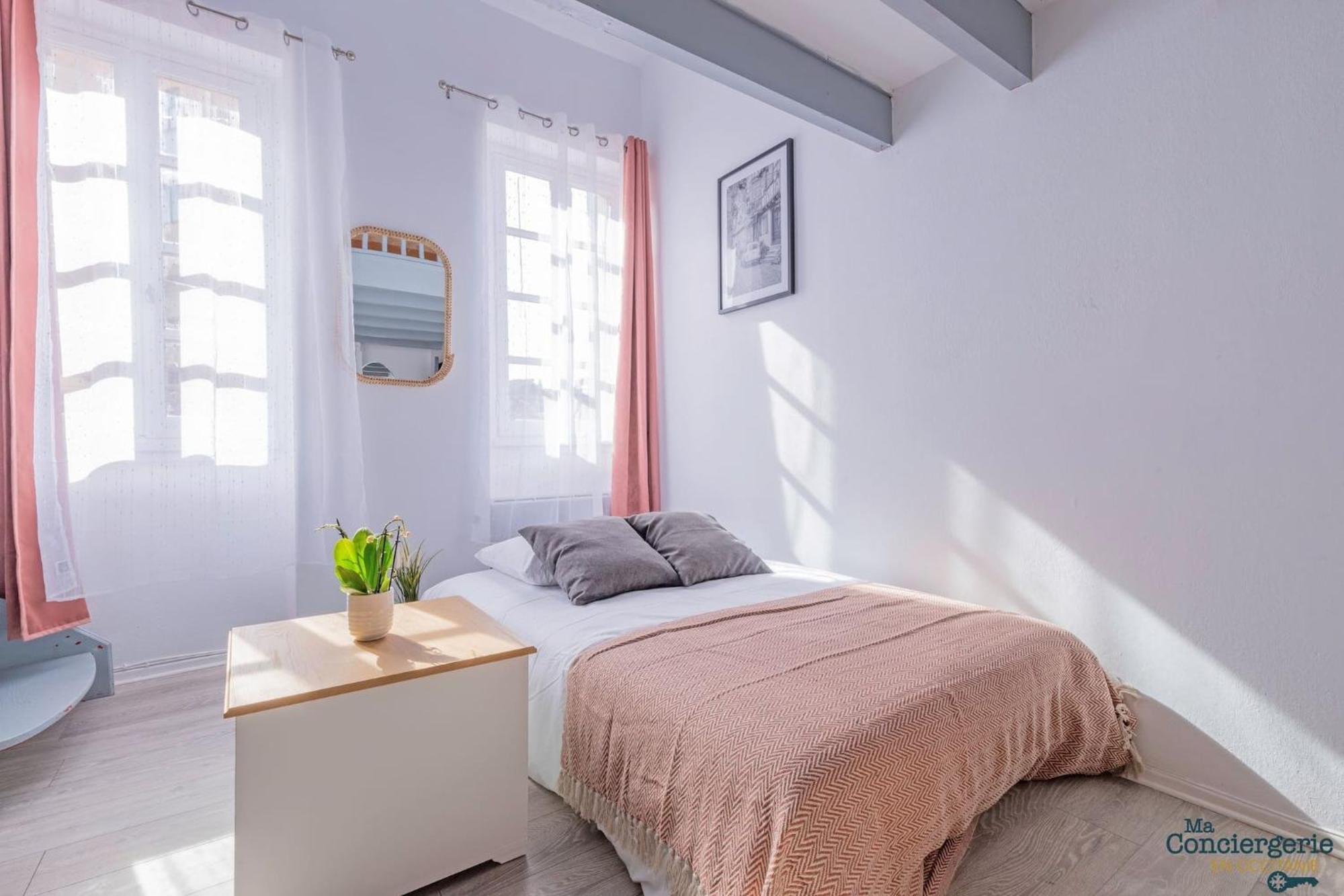Duplex Champetre : Gare, Marche, Hypercentre Apartment Toulouse Ngoại thất bức ảnh