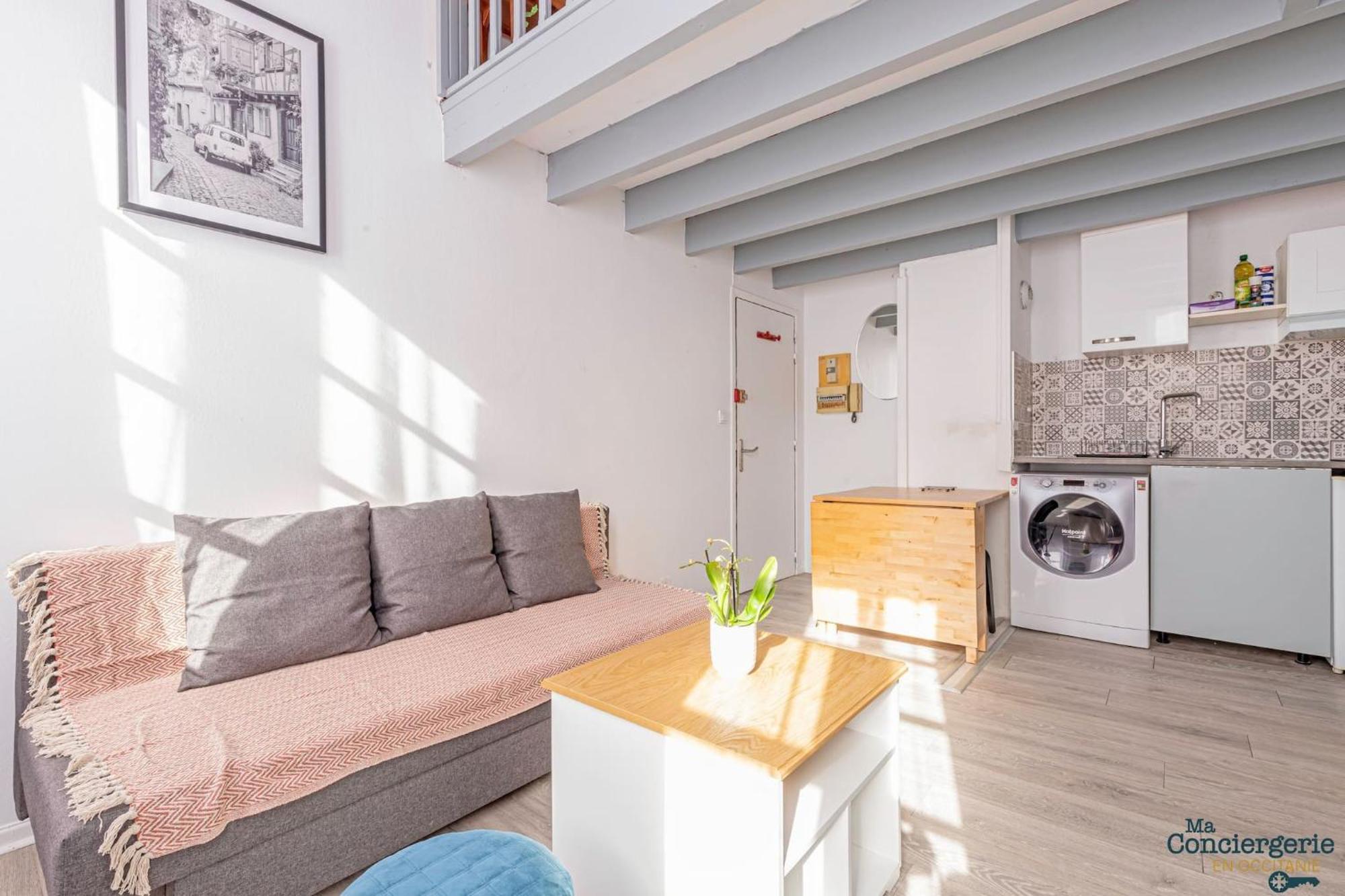 Duplex Champetre : Gare, Marche, Hypercentre Apartment Toulouse Ngoại thất bức ảnh