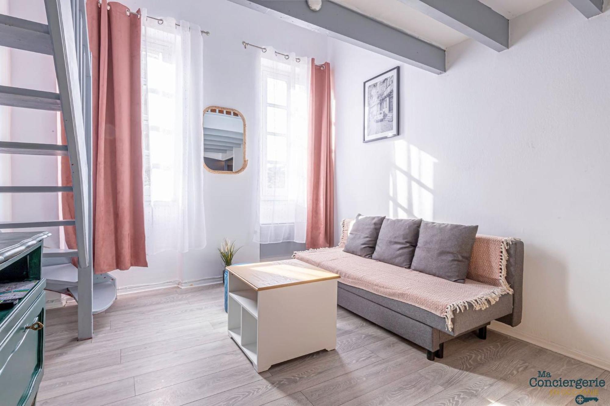 Duplex Champetre : Gare, Marche, Hypercentre Apartment Toulouse Ngoại thất bức ảnh