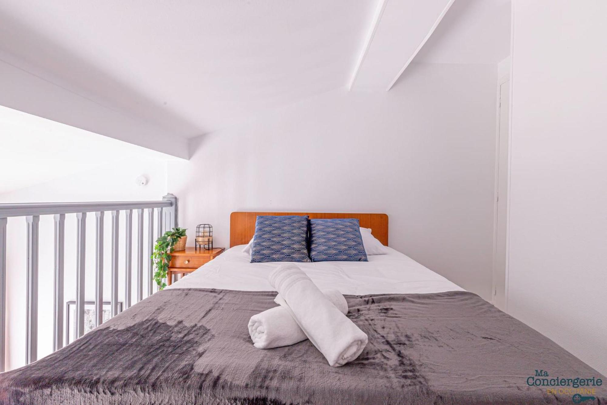 Duplex Champetre : Gare, Marche, Hypercentre Apartment Toulouse Ngoại thất bức ảnh