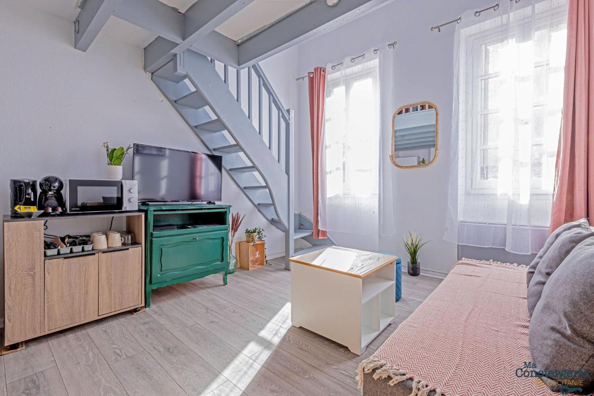 Duplex Champetre : Gare, Marche, Hypercentre Apartment Toulouse Ngoại thất bức ảnh